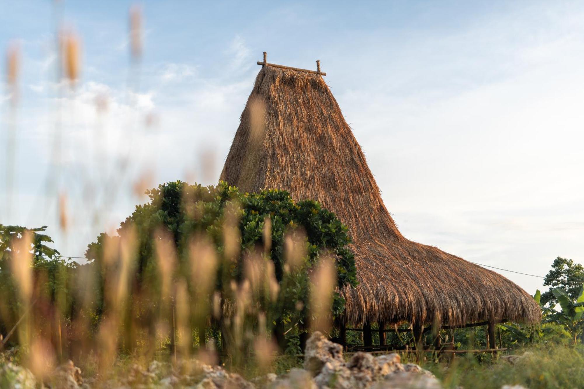 Cap Karoso Sumba - A Member Of Design Hotels Tambolaka Eksteriør billede